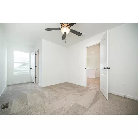 3057 Eagle Branch Cir, O Fallon, MO 63366 photo 33