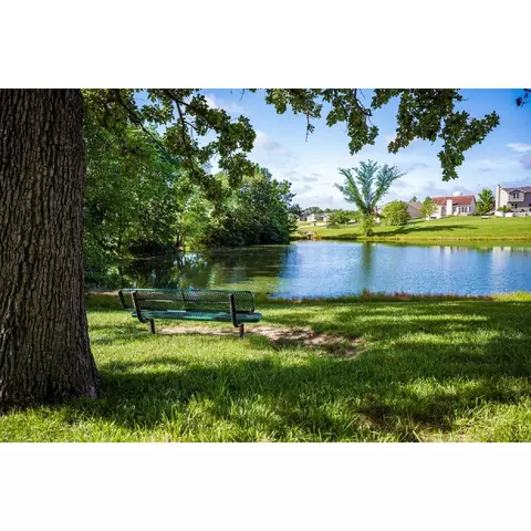 3057 Eagle Branch Cir, O Fallon, MO 63366 photo 47