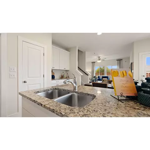 149 Yearling Way, Georgetown, TX 78626 photo 31