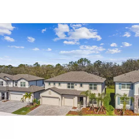 5032 Bromeliad Ave, Wimauma, FL 33598 photo 25