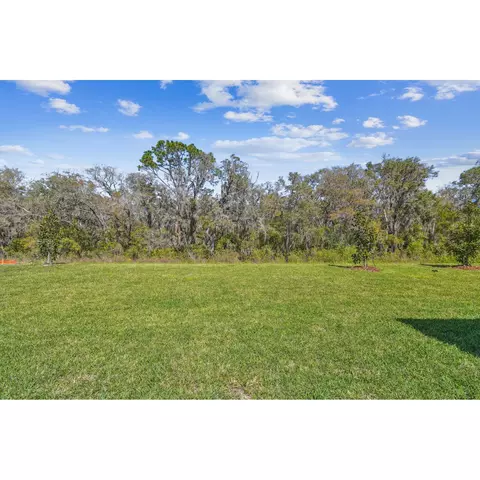 5032 Bromeliad Ave, Wimauma, FL 33598 photo 39