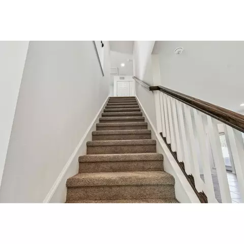5032 Bromeliad Ave, Wimauma, FL 33598 photo 50
