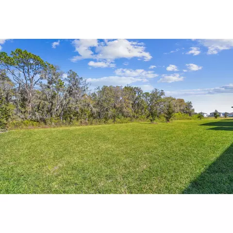 5032 Bromeliad Ave, Wimauma, FL 33598 photo 23