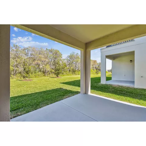 5032 Bromeliad Ave, Wimauma, FL 33598 photo 21