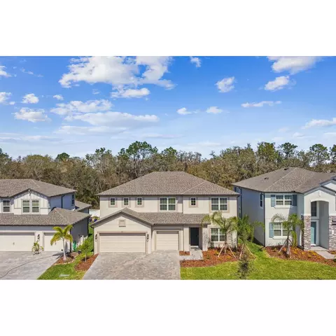 5032 Bromeliad Ave, Wimauma, FL 33598 photo 7