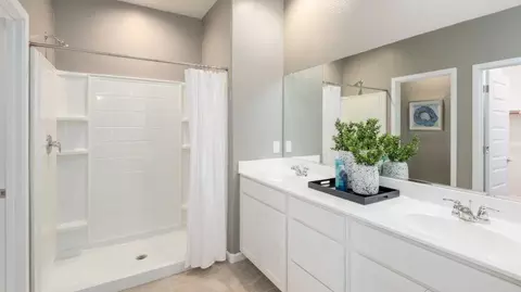 Bath - 12468 E Wallflower Ln, Florence, AZ 85132 photo 2 of 2
