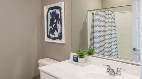 Bath - 12468 E Wallflower Ln, Florence, AZ 85132 photo 1 of 2