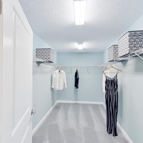 2892 Dawn Redwood Pl, Ocoee, FL 34761 photo 8