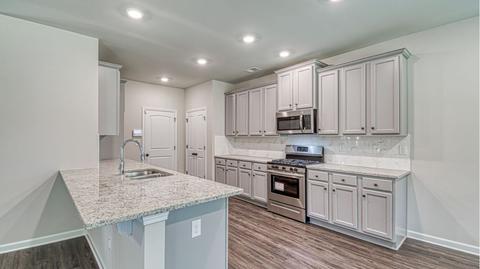 434 Sawmill Trce, Hampton, GA 30228 photo 8
