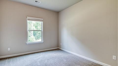 434 Sawmill Trce, Hampton, GA 30228 photo 11