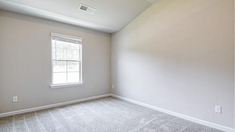 434 Sawmill Trce, Hampton, GA 30228 photo 17