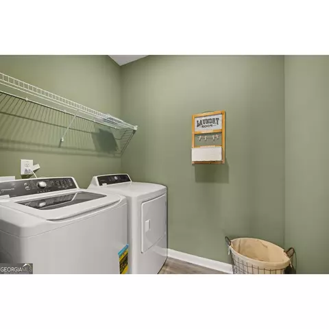 10462 Trellis Ln, Hampton, GA 30228 photo 27