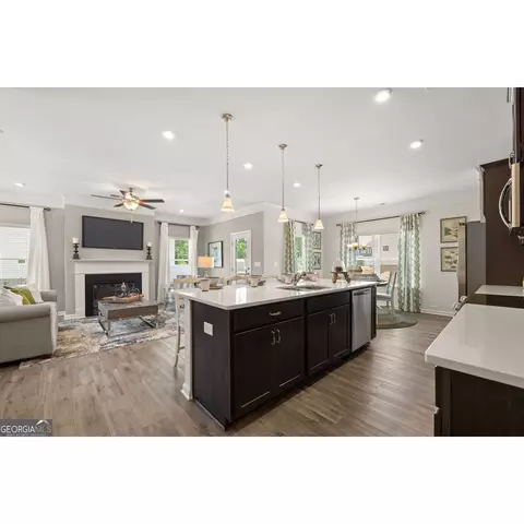 10462 Trellis Ln, Hampton, GA 30228 photo 5