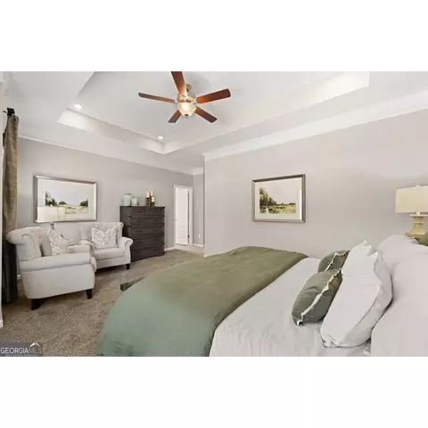 10462 Trellis Ln, Hampton, GA 30228 photo 18