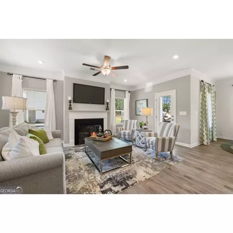 10462 Trellis Ln, Hampton, GA 30228 photo 12