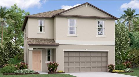 17933 Cloudless Bliss Dr, Lutz, FL 33558 photo 1