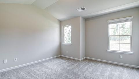 305 Denton Way, Hampton, GA 30228 photo 20