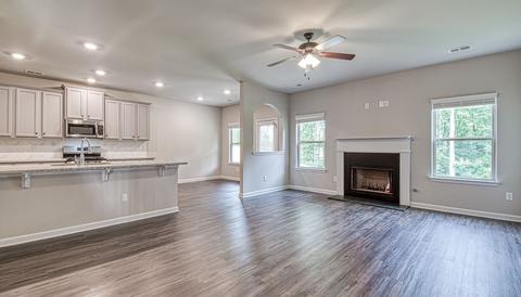 305 Denton Way, Hampton, GA 30228 photo 8