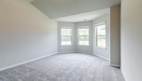 305 Denton Way, Hampton, GA 30228 photo 19