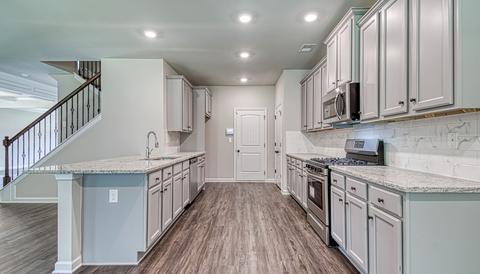 305 Denton Way, Hampton, GA 30228 photo 12