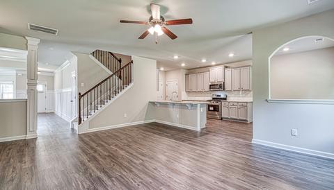 305 Denton Way, Hampton, GA 30228 photo 10
