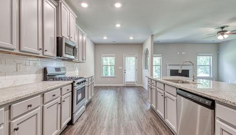 305 Denton Way, Hampton, GA 30228 photo 13