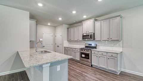 305 Denton Way, Hampton, GA 30228 photo 11