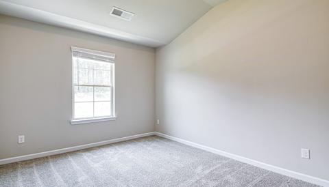 305 Denton Way, Hampton, GA 30228 photo 21