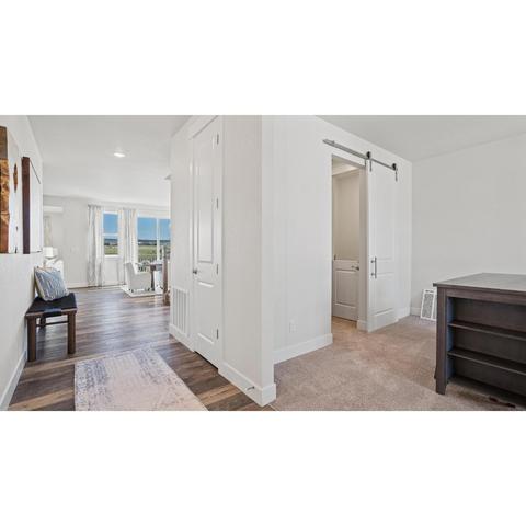 15734 Native Willow Dr, Monument, CO 80132 photo 41