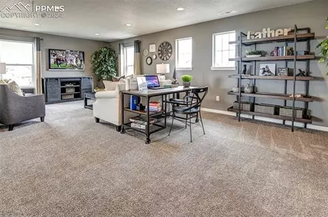 8102 Daelyn Dr, Peyton, CO 80831 photo 20