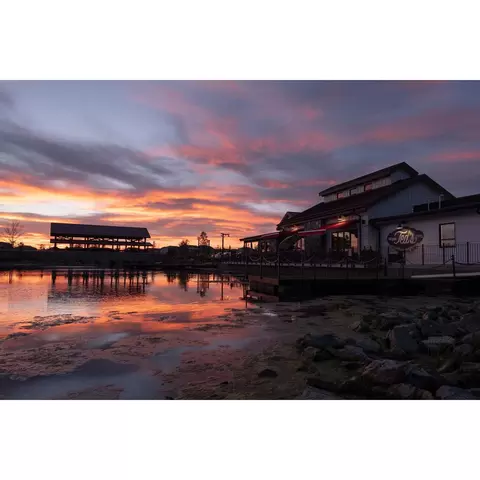 1629 Winter Glow Dr, Windsor, CO 80550 photo 42