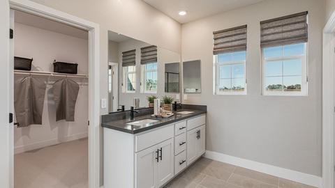 925 Tern Dr, Lathrop, CA 95330 photo 20