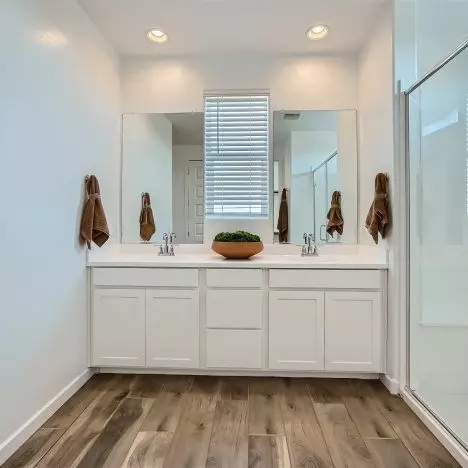 Bath - 8138 E Petunia Ave, Mesa, AZ 85212 photo 3 of 4