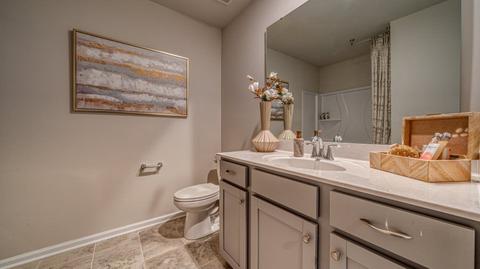 253 E Compass Way, Easley, SC 29640 photo 9