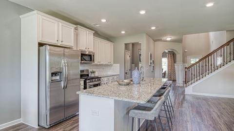 376 Traditions Ln, Hampton, GA 30228 photo 9