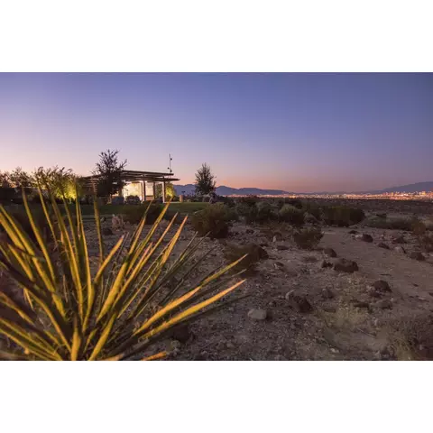 2733 Luzzi Walk, Henderson, NV 89044 photo 10