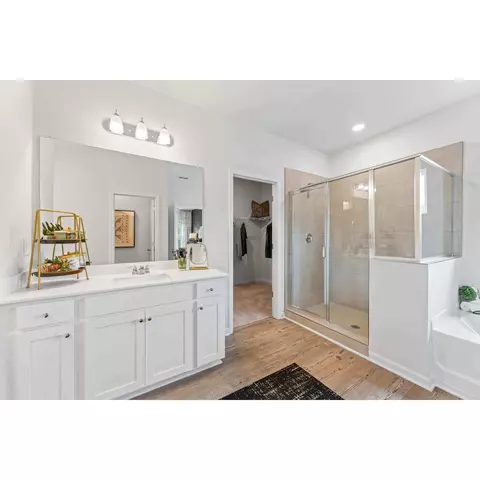 Bath - 227 Carmichael Dr, Canton, GA 30115 photo 3 of 3