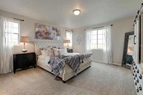 1202 Argali Dr, Severance, CO 80550 photo 8