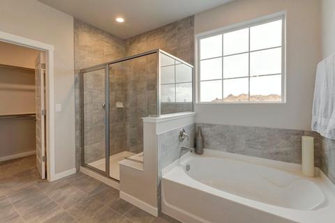 1202 Argali Dr, Severance, CO 80550 photo 7