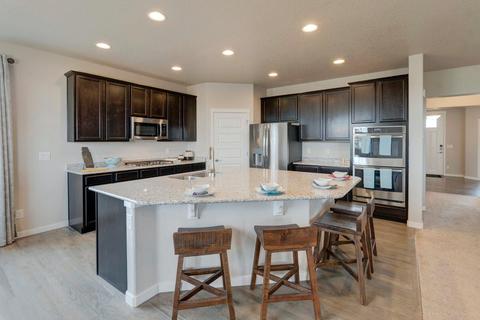 1202 Argali Dr, Severance, CO 80550 photo 5