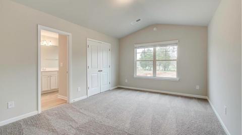 421 Sawmill Trce, Hampton, GA 30228 photo 11