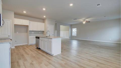421 Sawmill Trce, Hampton, GA 30228 photo 10