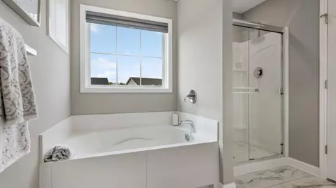 Bath - 1684 Upper 143rd St E, Rosemount, MN 55068 photo 4 of 5