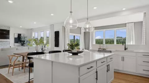 Kitchen - 1684 Upper 143rd St E, Rosemount, MN 55068 photo 4 of 4