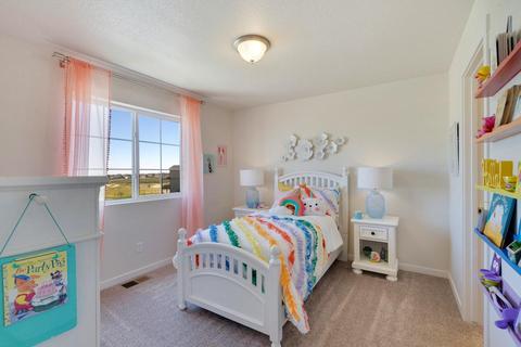 1227 Argali Dr, Severance, CO 80550 photo 10