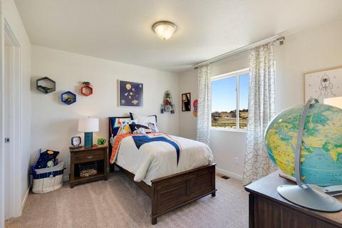 1227 Argali Dr, Severance, CO 80550 photo 9