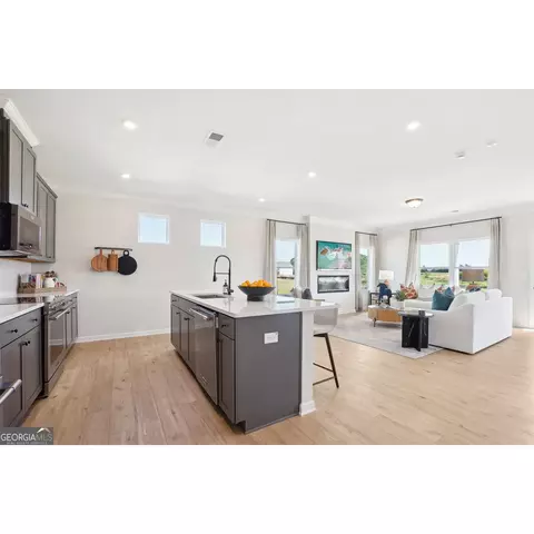 10465 Trellis Ln, Hampton, GA 30228 photo 11