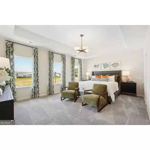 10465 Trellis Ln, Hampton, GA 30228 photo 15