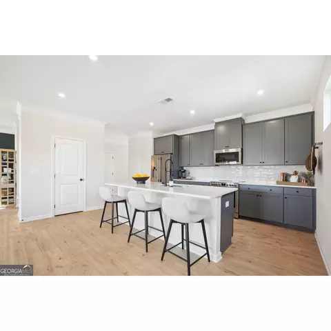 10465 Trellis Ln, Hampton, GA 30228 photo 9