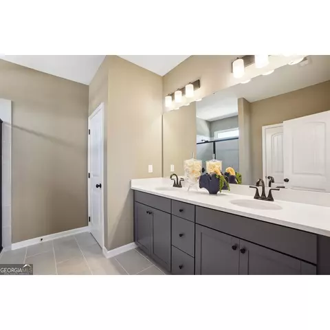 10465 Trellis Ln, Hampton, GA 30228 photo 17